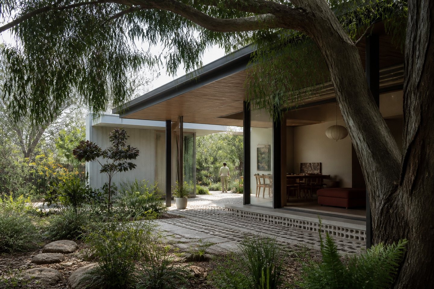 Contemporary Australian home opening beneath a mature tree